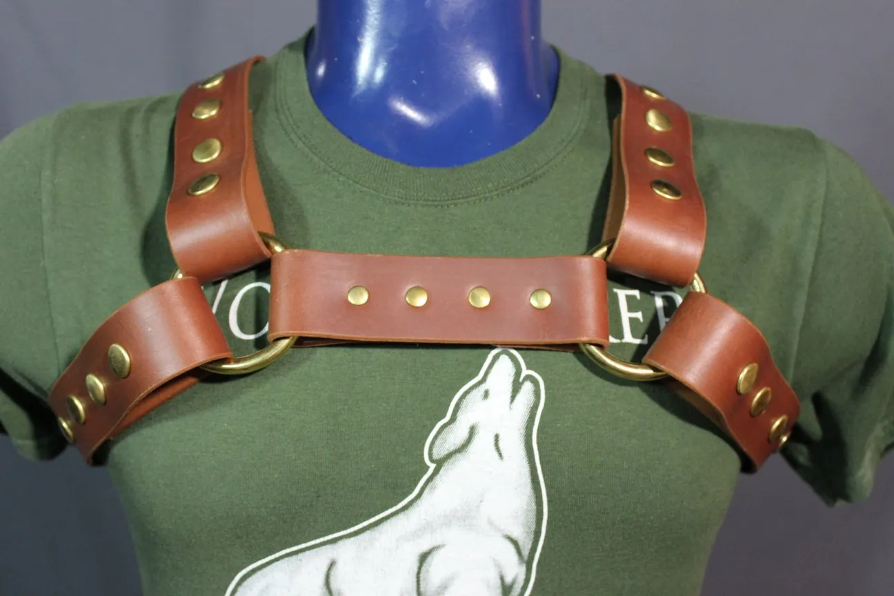 Classic Latigo Bulldog Harness with Snaps