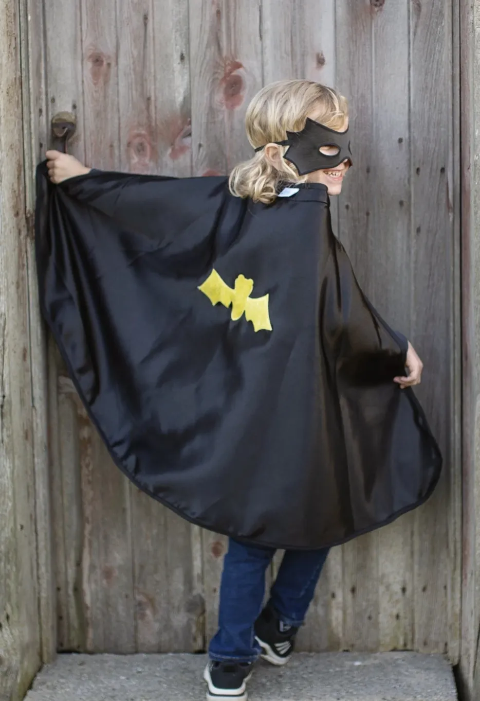 Great Pretenders- Reversible Spider/Bat Cape & Mask