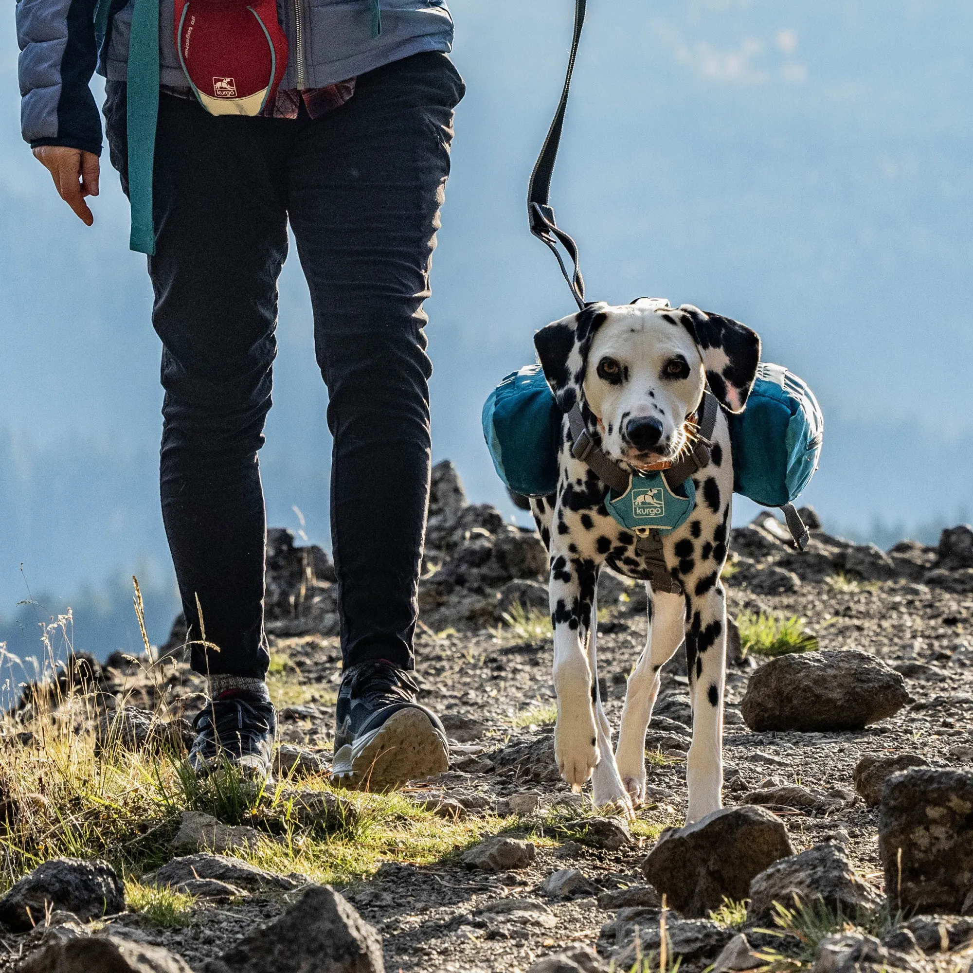 Kurgo Baxter Dog Backpack - Blue